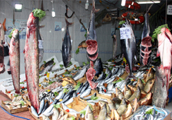 Dev yayın balığı tezgahta