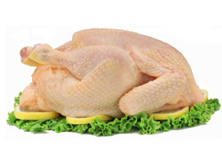 Tavuk eti üretimi arttı