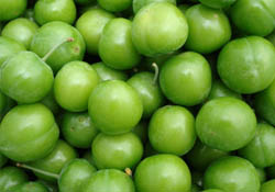 Can eriği pazarı büyüyor