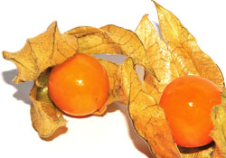 Altın çileğe yasak geliyor