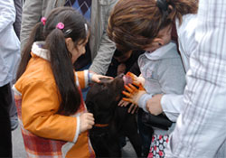 Köpeklerle birlikte öğrendiler