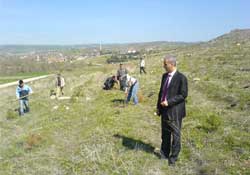 3 aylık istihdam