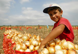 Zam şampiyonuydu şimdi çürüyor