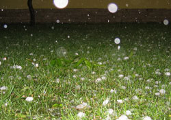 Buğday ve karpuza dolu darbesi