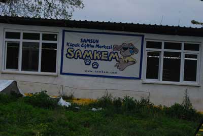 En iyi arkadaşın Eğitimde