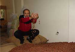 Fındık zararlıları ile mücadele