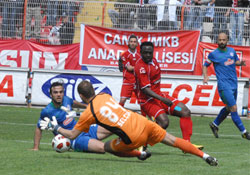 Gollerin dağılımı