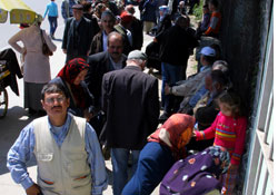 Ucuz prinç kuyruğu