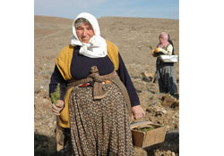 Çiftçiye prim müjdesi