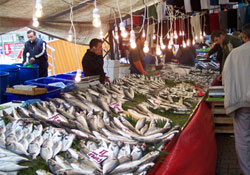 Balıkçılara AB eğitimi