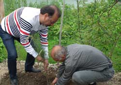 Yıldıray Çınar için fidan dikildi