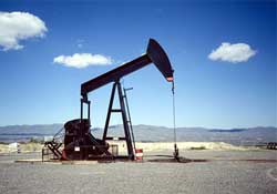 Petrol 50 yıl içinde bitecek