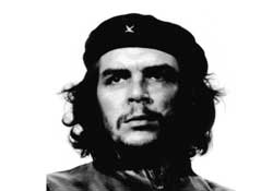 Che AK Parti'ye oy verirdi