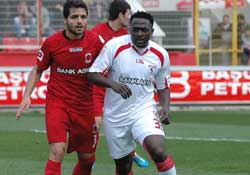 Zenke'de yuvada kaldı