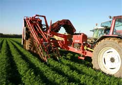 TMO alımlara başladı