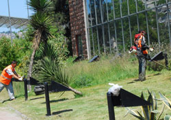 Satış öncesi "Büyük Otel" temizliği