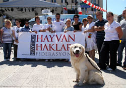 Kapı önüne bir kap su