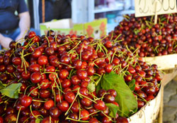 Köyde yetiştirip şehirde satıyorlar