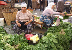 Yağışlar ürünlere ne kadar yaradı?