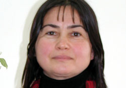 Fındık Kurdu ile mücadele dönemi