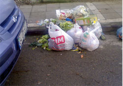 Poşetler değil bilinçsiz kullanım kirletiyor