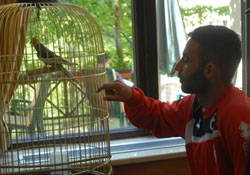 Dilaver'in hayvan sevgisi