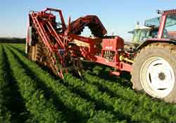 Türk tarım ürünleri güvenilir