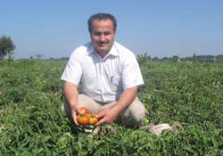 Kavun ve karpuzlar pazara çıkıyor