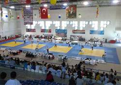 DSİ'nin madalya avcıları