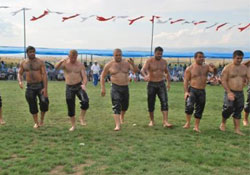 Karaman Başpehlivan oldu