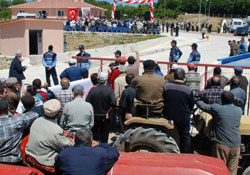 Protesto eğlence bir arada