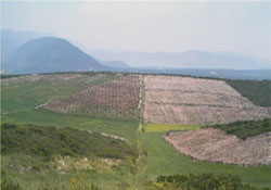 Tarım arazilerini miras bölemeyecek!