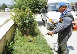 Parklar bakıma alındı