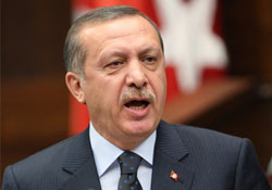 Başbakan Erdoğan basın özgürlüğüne sahip çıktı