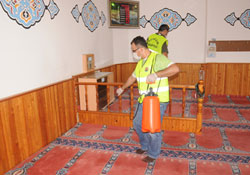 Camiler gül gibi oldu