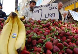 Sadece meyve satılıyor