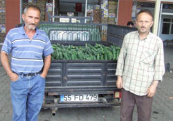 Halde fiyatlar düşüyor