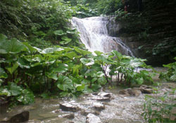 Turistlerin şelale merakı