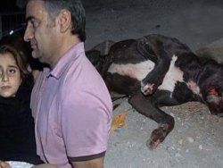 Küçük kızı köpeğin ağzından aldı