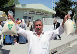 Fiyat düştü, kuyruklar bitmedi