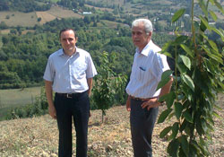 Sinop'ta meyveciliği geliştirme projesi