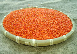 Mercimekte ilaç mı var?