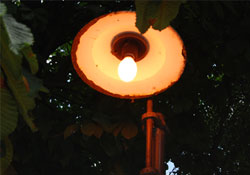 İsraf değil de ne?