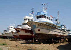 Ucuz balık yiyebilecek miyiz?