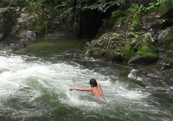 Bu da Lazvivor