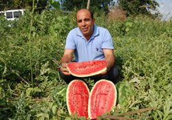 Tarımda kalite artıyor