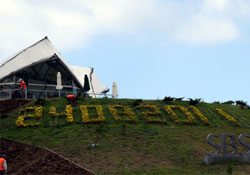 Tarihin değiştiğini çiçekler söylüyor