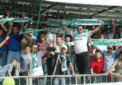 Coştular coşturdular