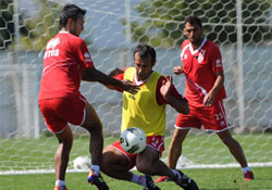 Tek çalışma yaptılar