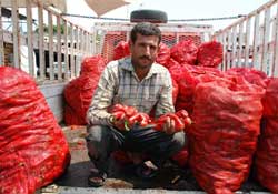 Salçalık biber sezonu açıldı